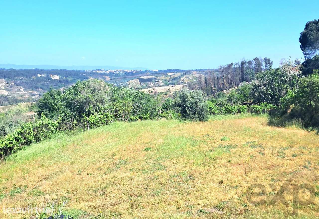 Vistas para o Mondego | 1 Hectare | Ruína em Granito | Um Refúgio de V - Grande imagem: 2/43