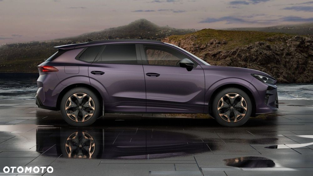 Cupra Terramar - 6
