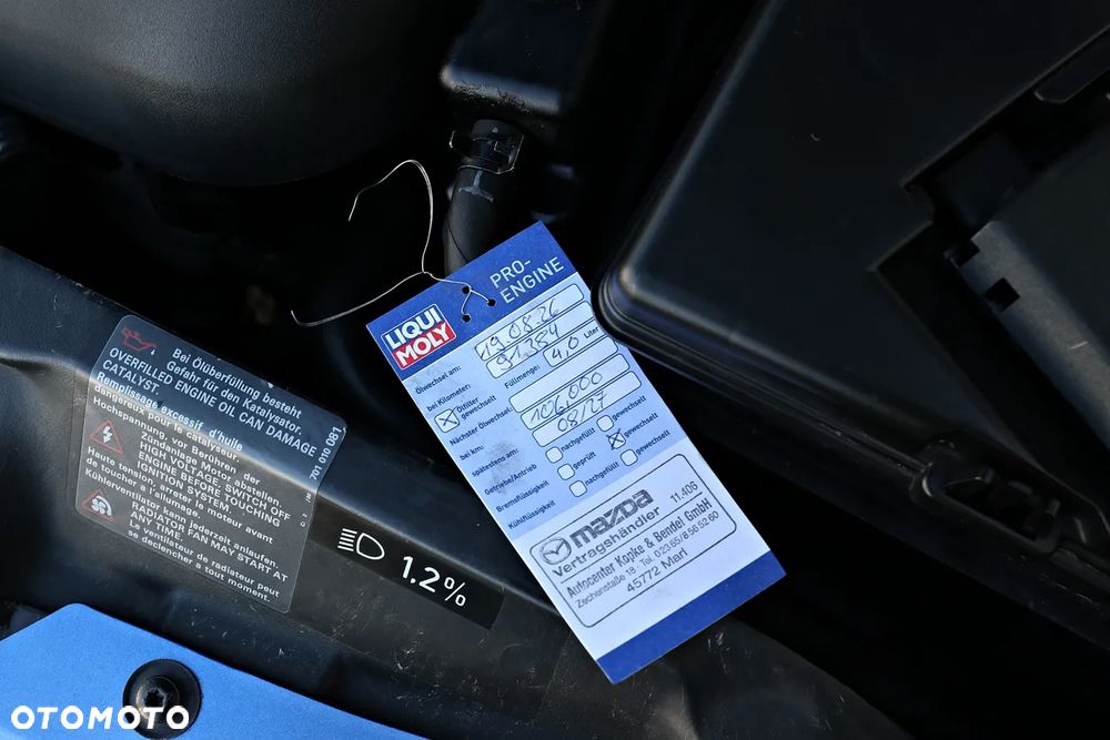 Volkswagen New Beetle - 38