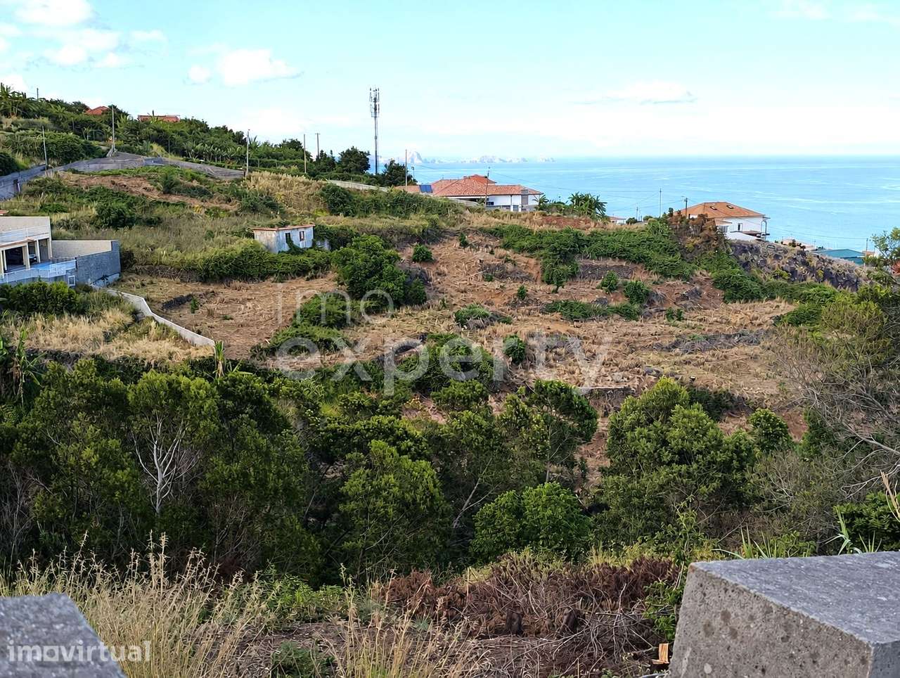 Terreno com vistas em Gaula com 7.670m2 - Grande imagem: 4/8