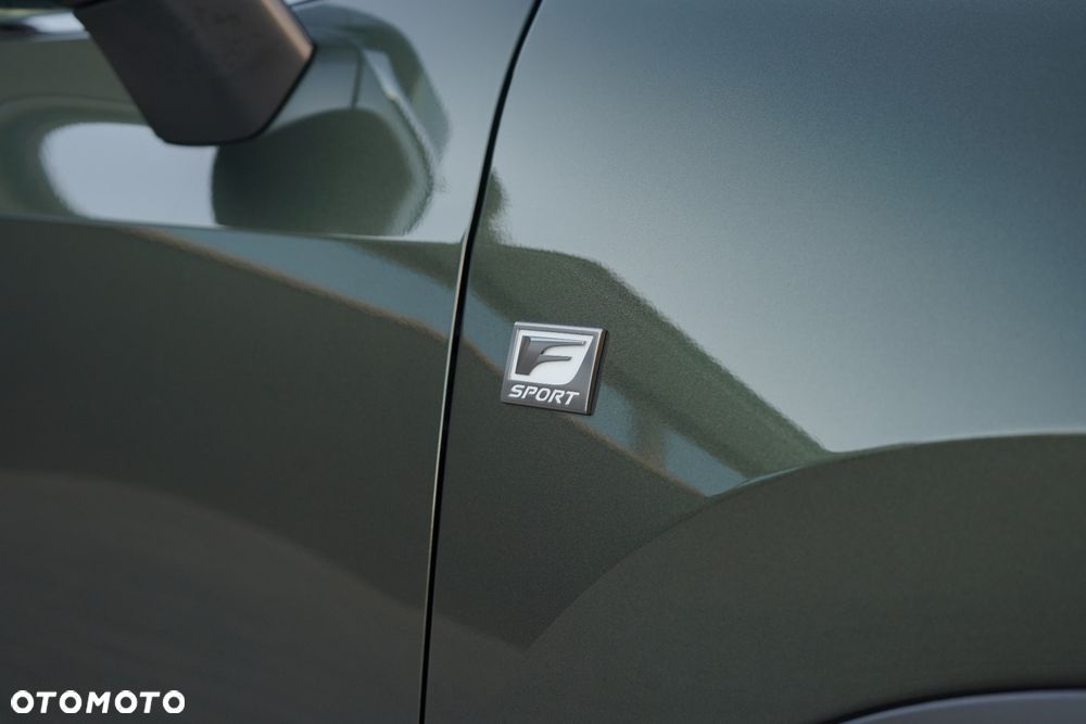 Lexus NX 350h F Sport AWD - 19