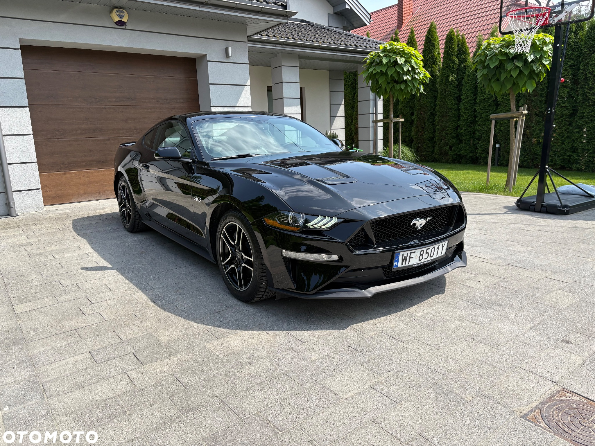 Ford Mustang Fastback 5.0 Ti-VCT V8 MACH1 - 9