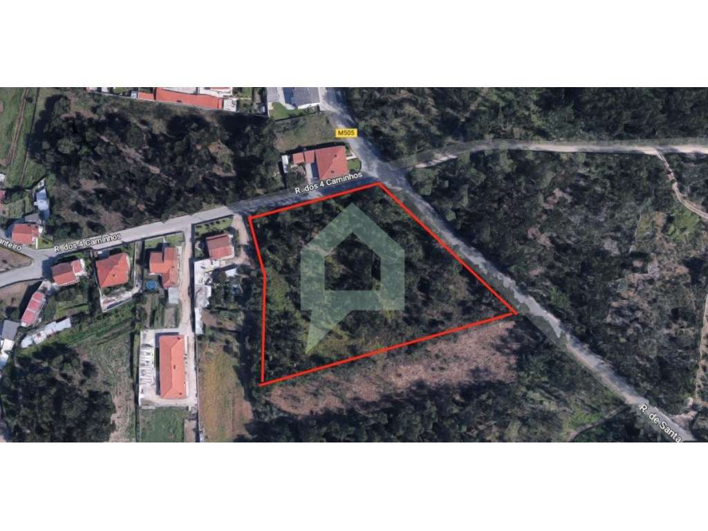 Terreno de pinhal inserido em zona de construção Alvelos, Barcelos - Grande imagem: 3/15