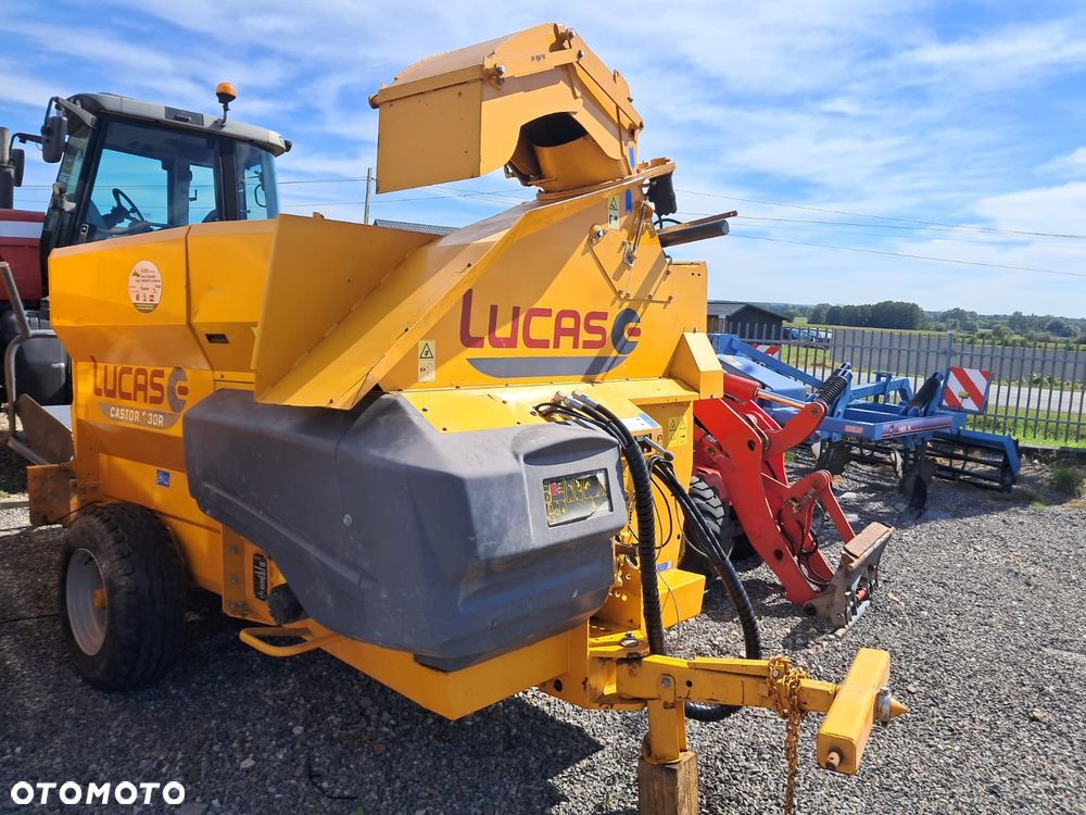 Inny Lucas G Castor R+ 30 - 3