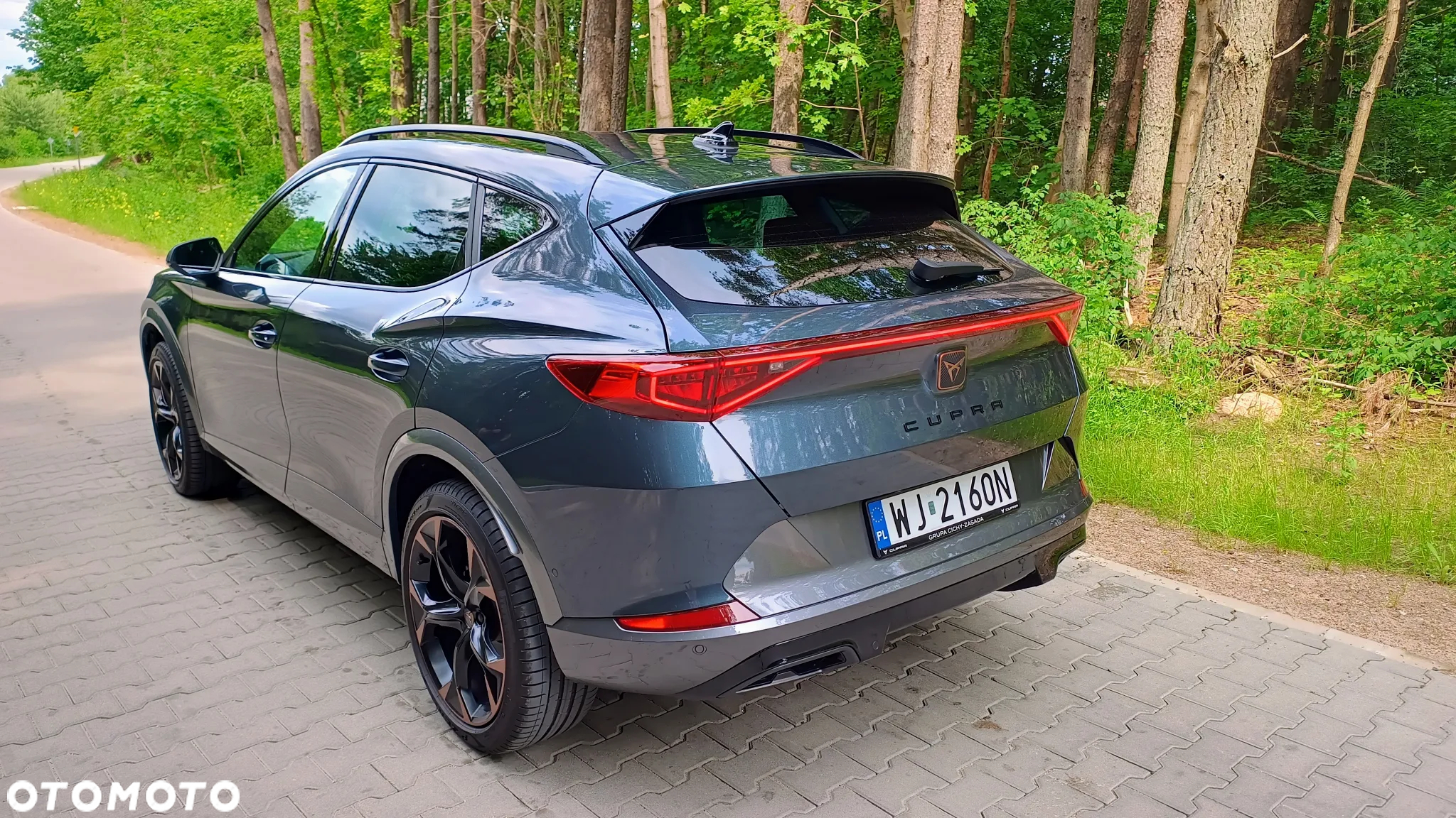 Cupra Formentor 2.0 TDI 4Drive DSG - 24