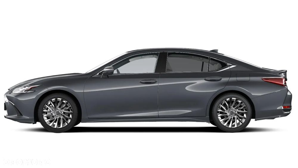 Lexus ES 300h Omotenashi - 9