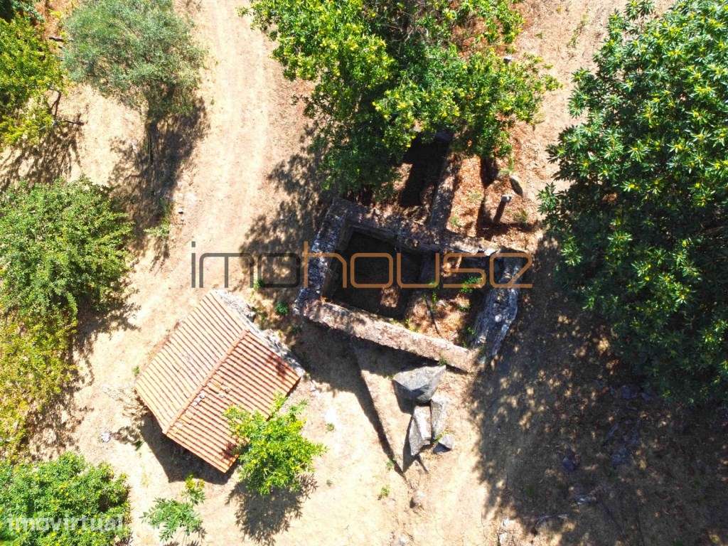 Quinta de 2ha com vista panorâmica - Freigil - Grande imagem: 2/23
