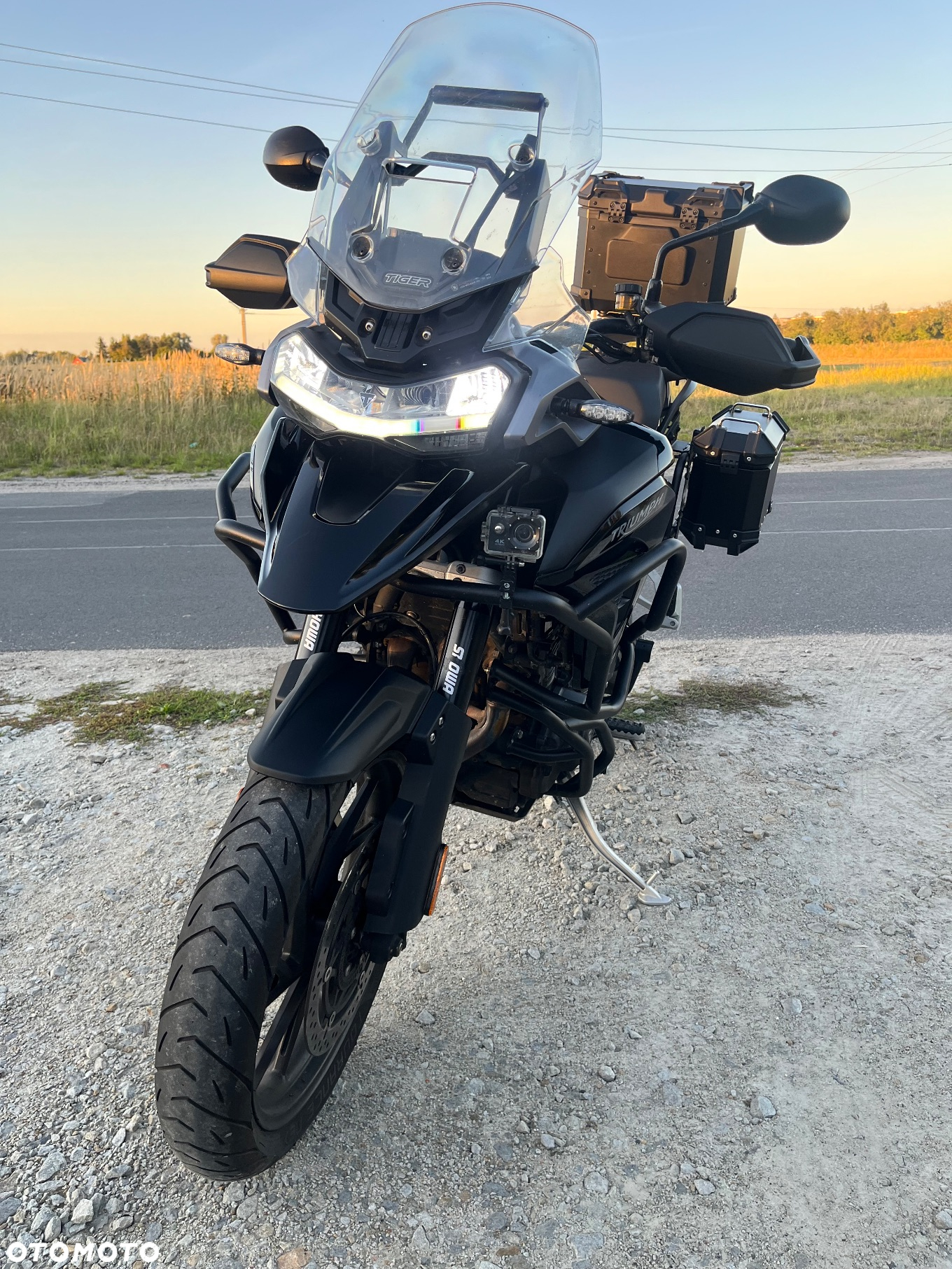 Triumph Tiger - 3