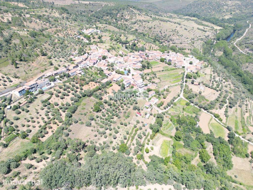 Terrenos em Quintanilha - Bragança - Grande imagem: 4/12