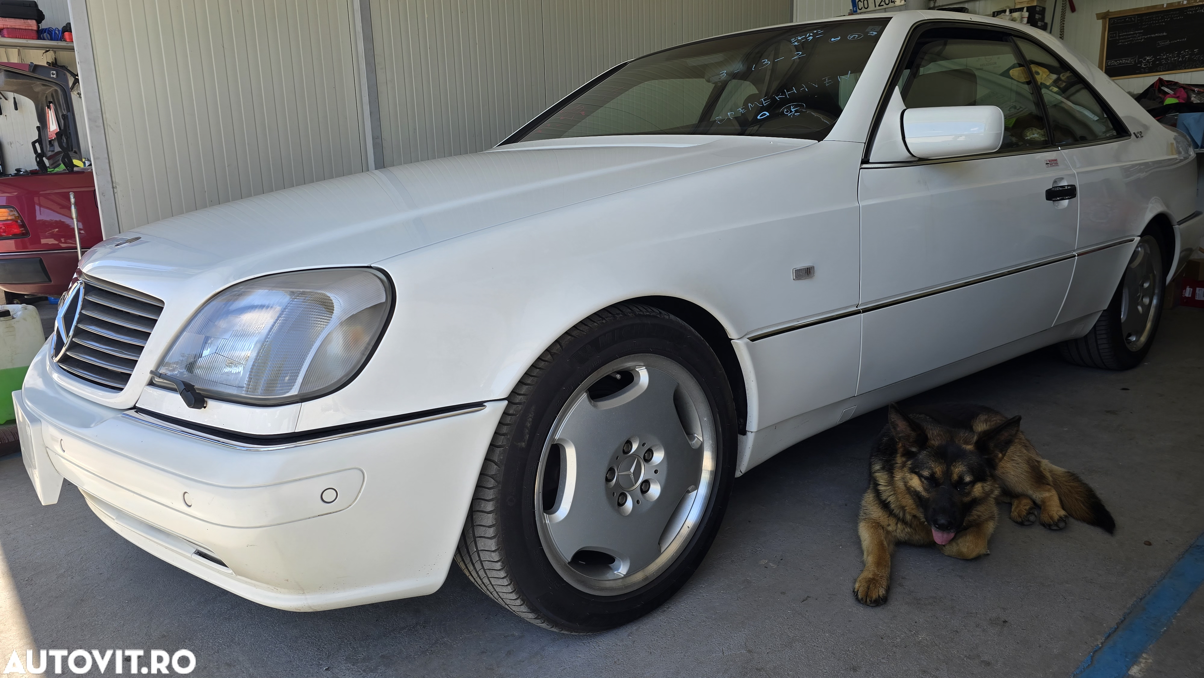 Mercedes-Benz Altul - 11