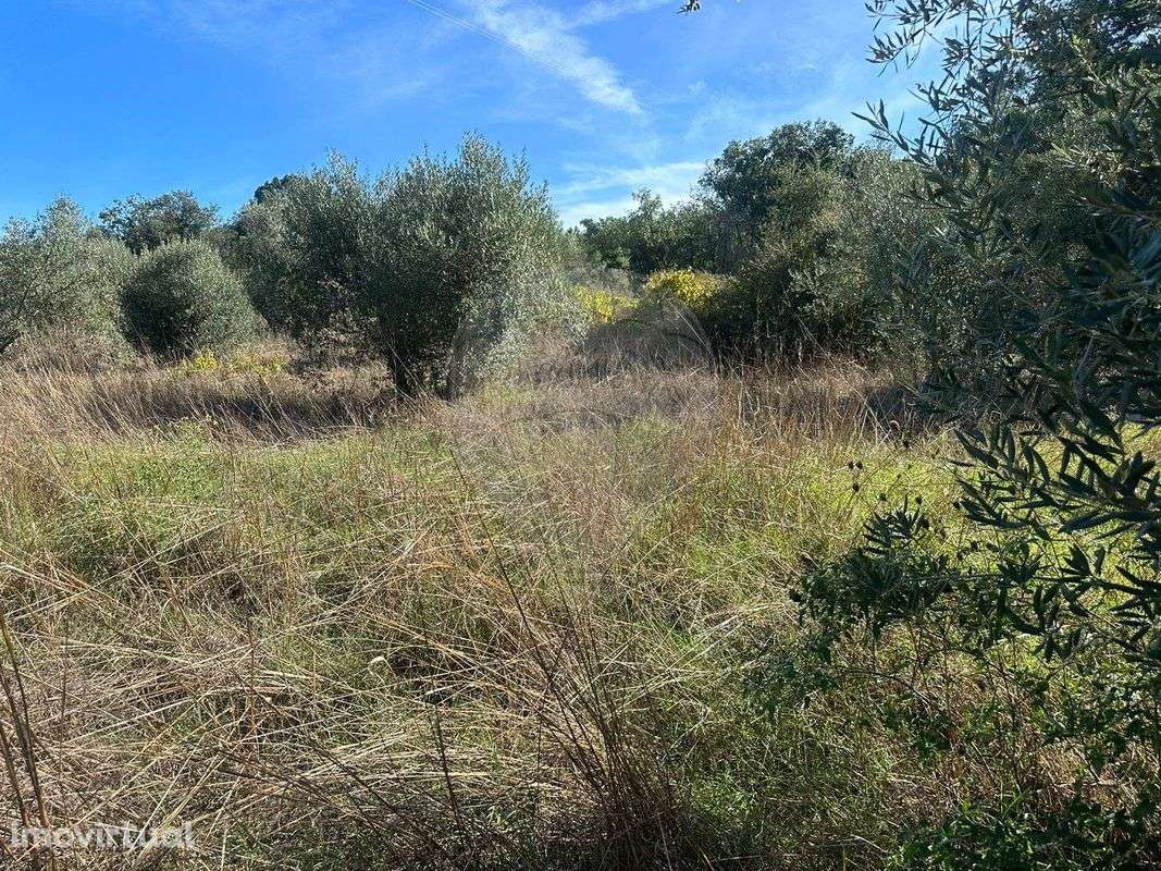 Terreno  para venda - Grande imagem: 3/25