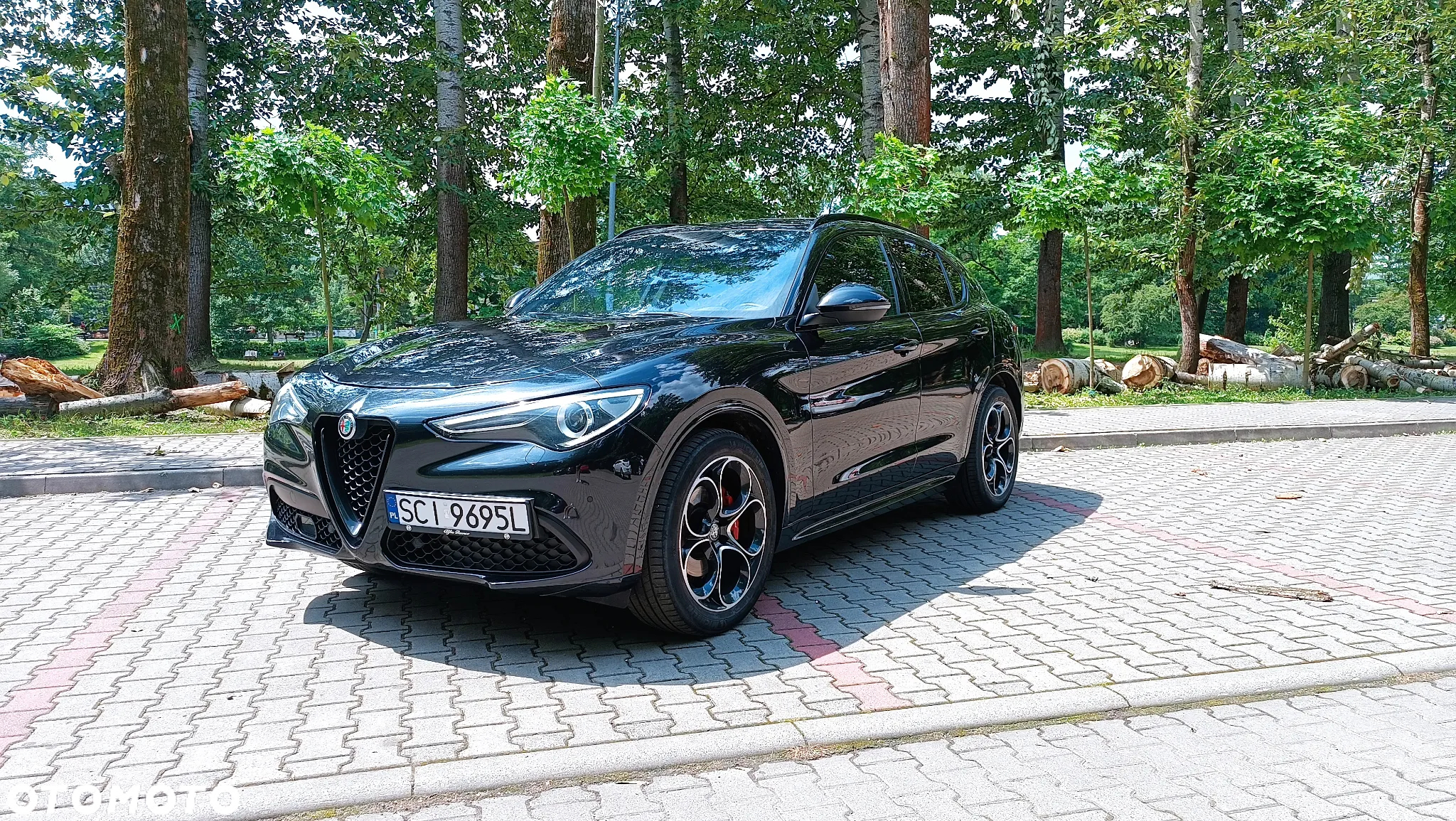 Alfa Romeo Stelvio 2.0 Turbo Veloce Q4 - 2
