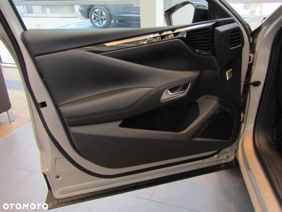 DS Automobiles DS 4 - 17