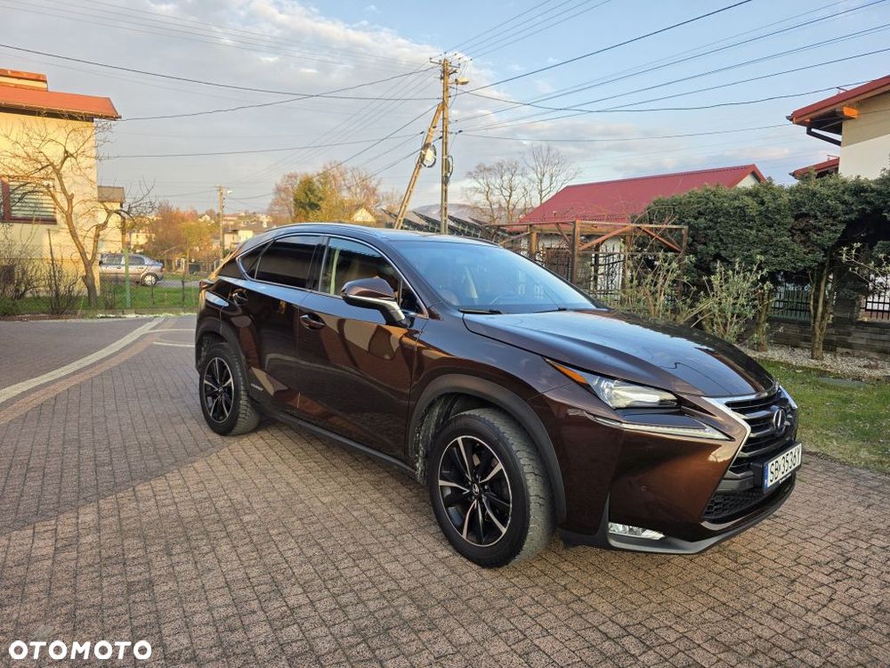 Lexus NX 300h Comfort AWD - 8