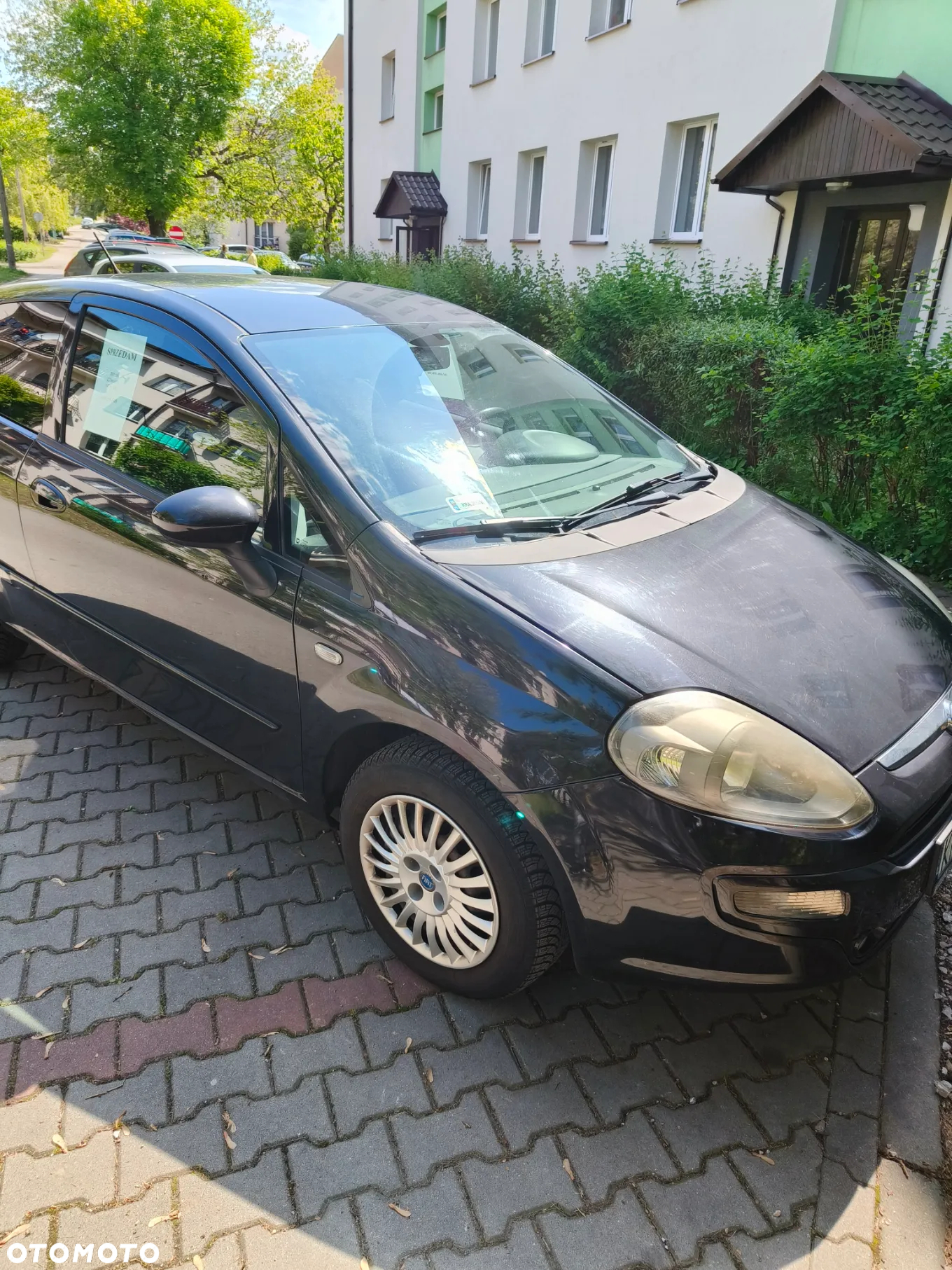Fiat Punto 1.2 Easy Euro6 - 7