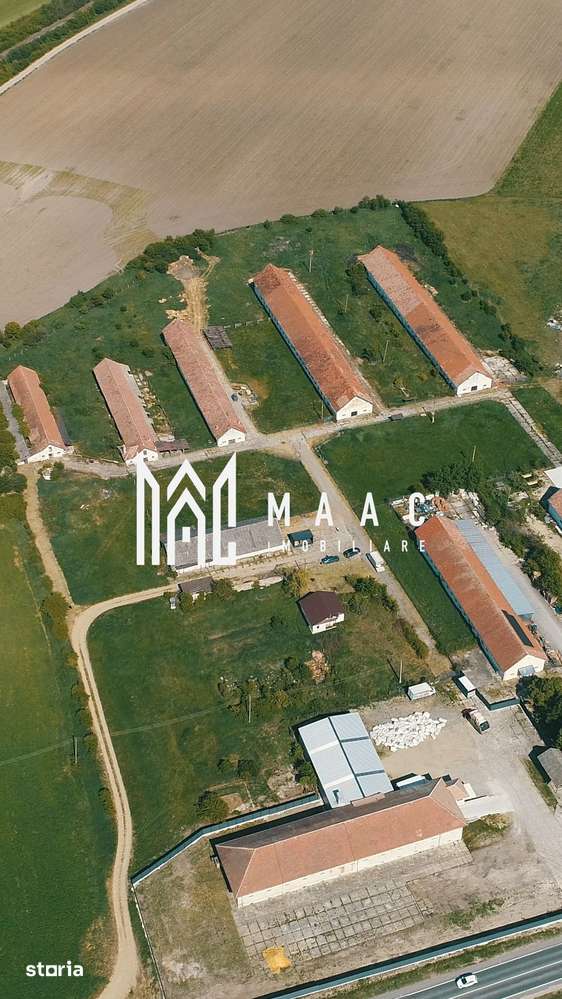 Hale disponibile 1400 mp I Teren 6000 mp I Utilități I Apoldu - Imagine principală: 3/5