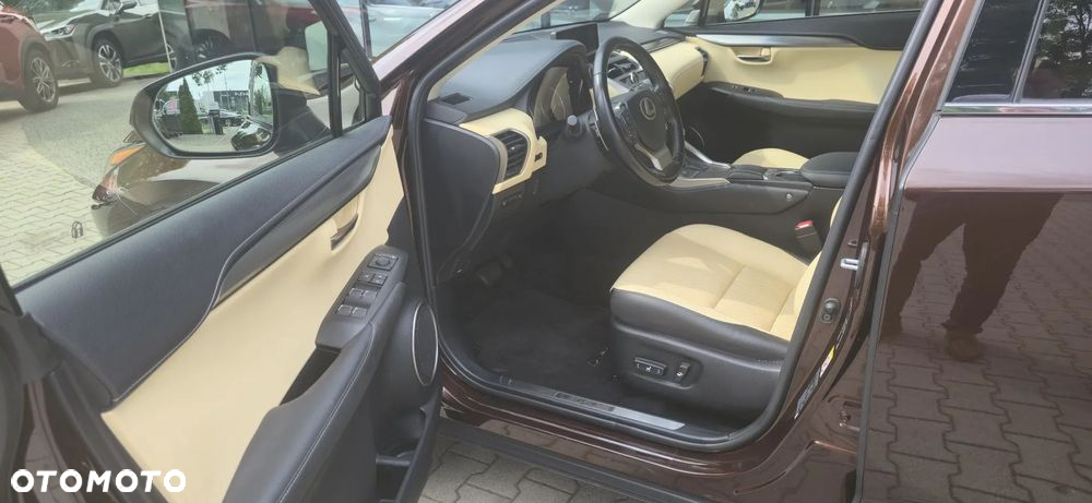 Lexus NX 300h Comfort AWD - 16