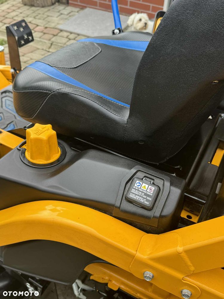 Cub Cadet - 10