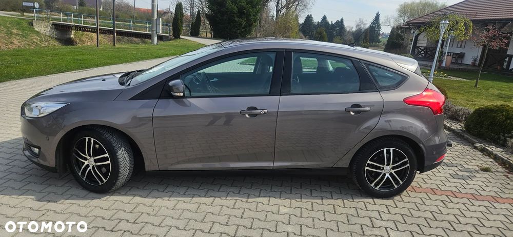 Ford Focus - 7