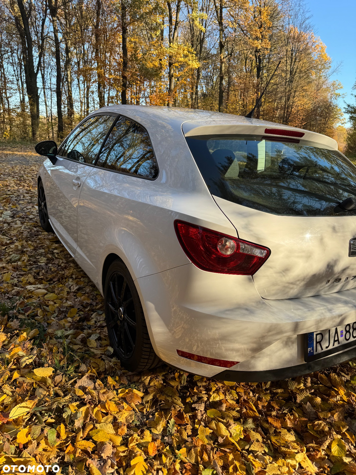 Seat Ibiza - 9