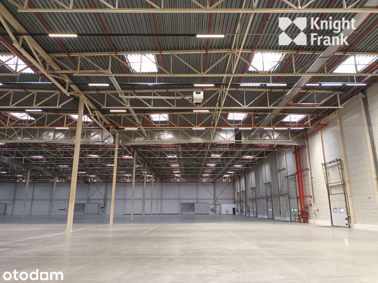 Łowicz - dostępne magazyny już od 5000 m2!