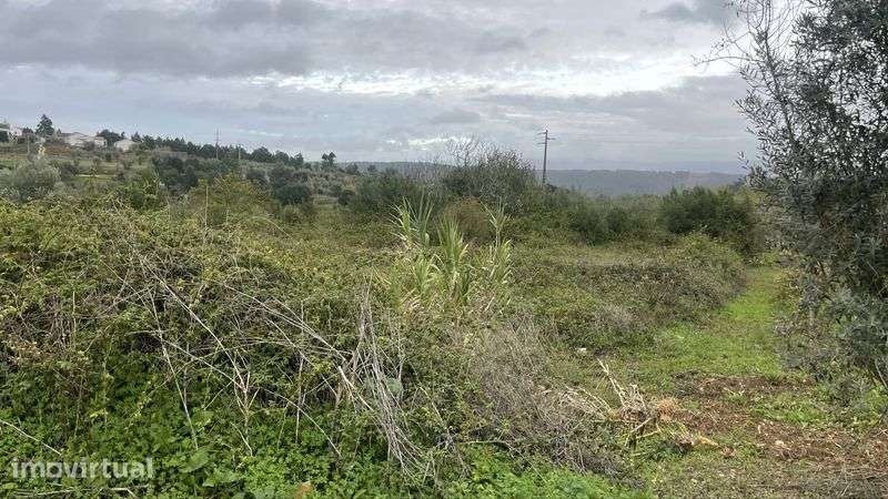 Terreno 1000m2 aorx - Grande imagem: 2/4