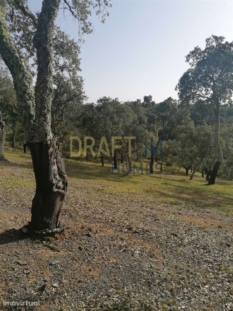 Terreno Rústico  Venda em Melides,Grândola - Grande imagem: 2/31