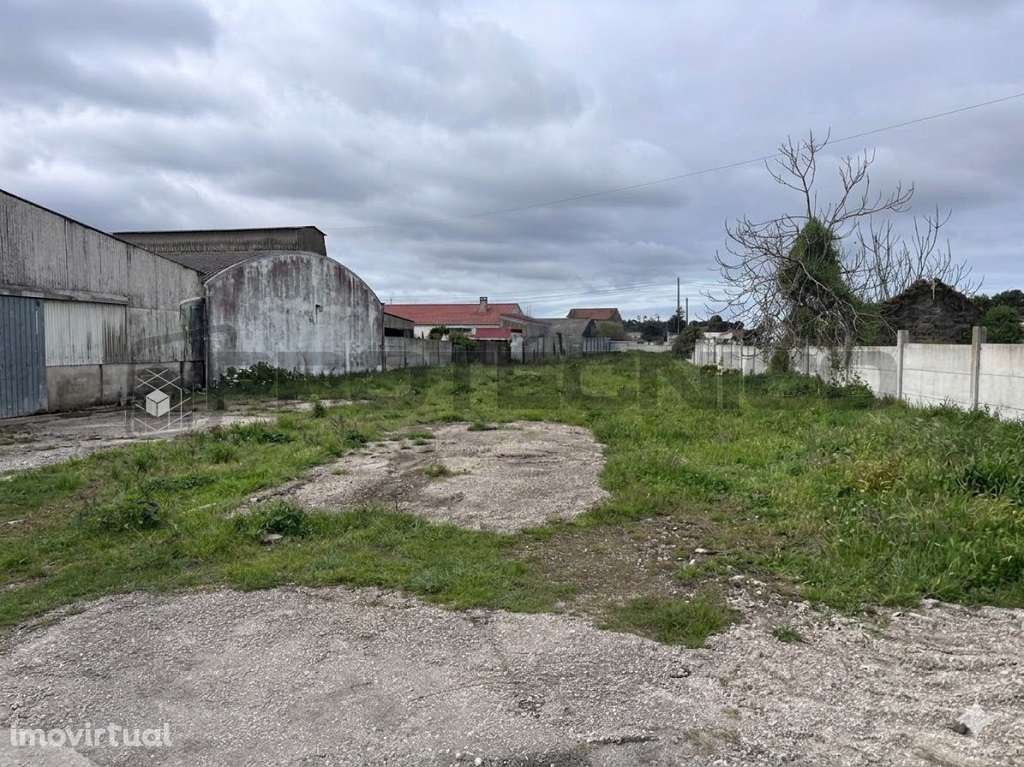 Terreno Urbano - Quinta do Picado - Grande imagem: 3/3