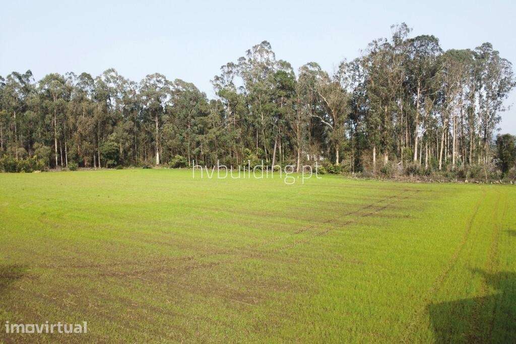 Terreno para construção em Gemeses, Esposende - Grande imagem: 3/9
