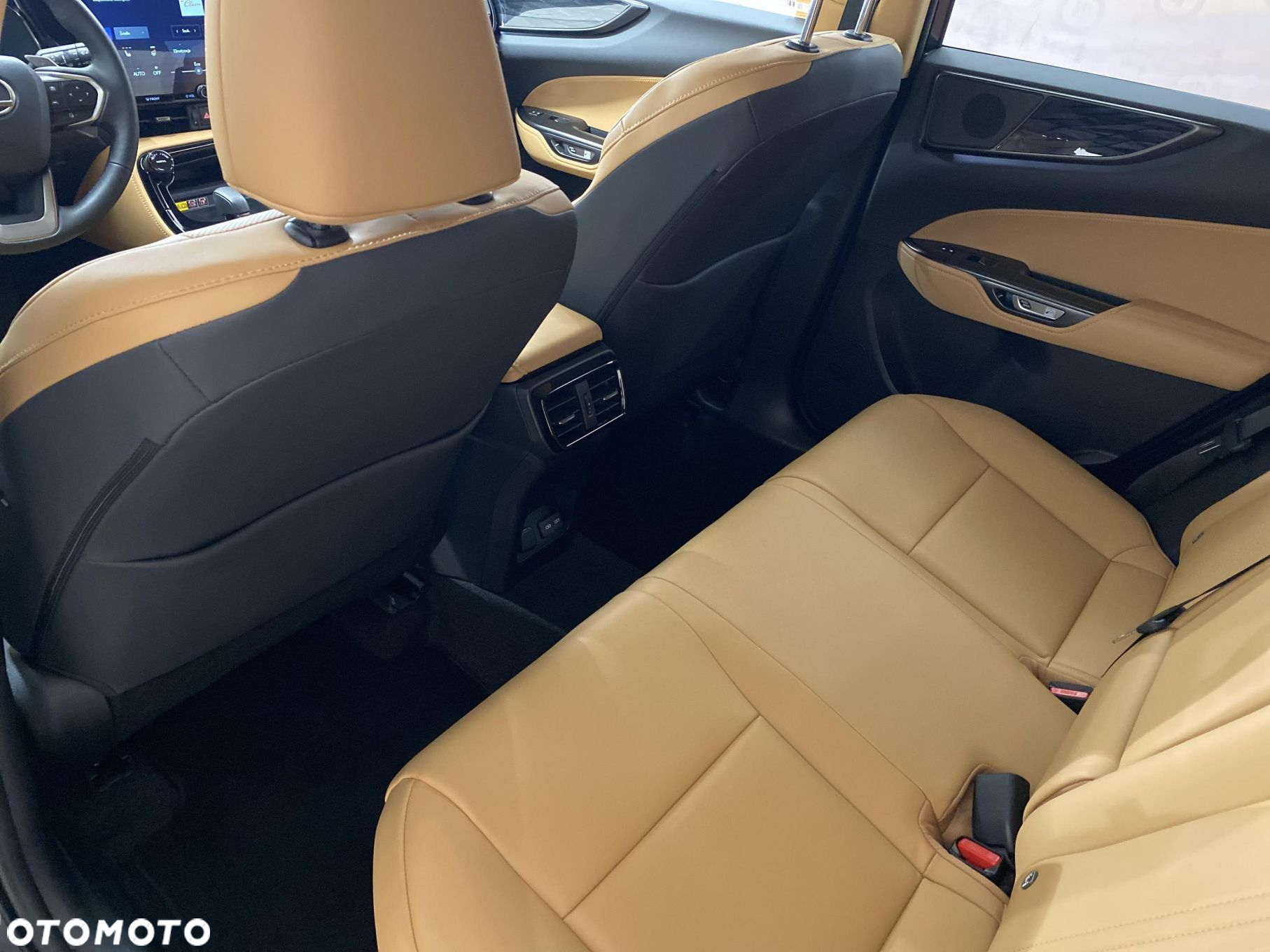 Lexus NX - 10