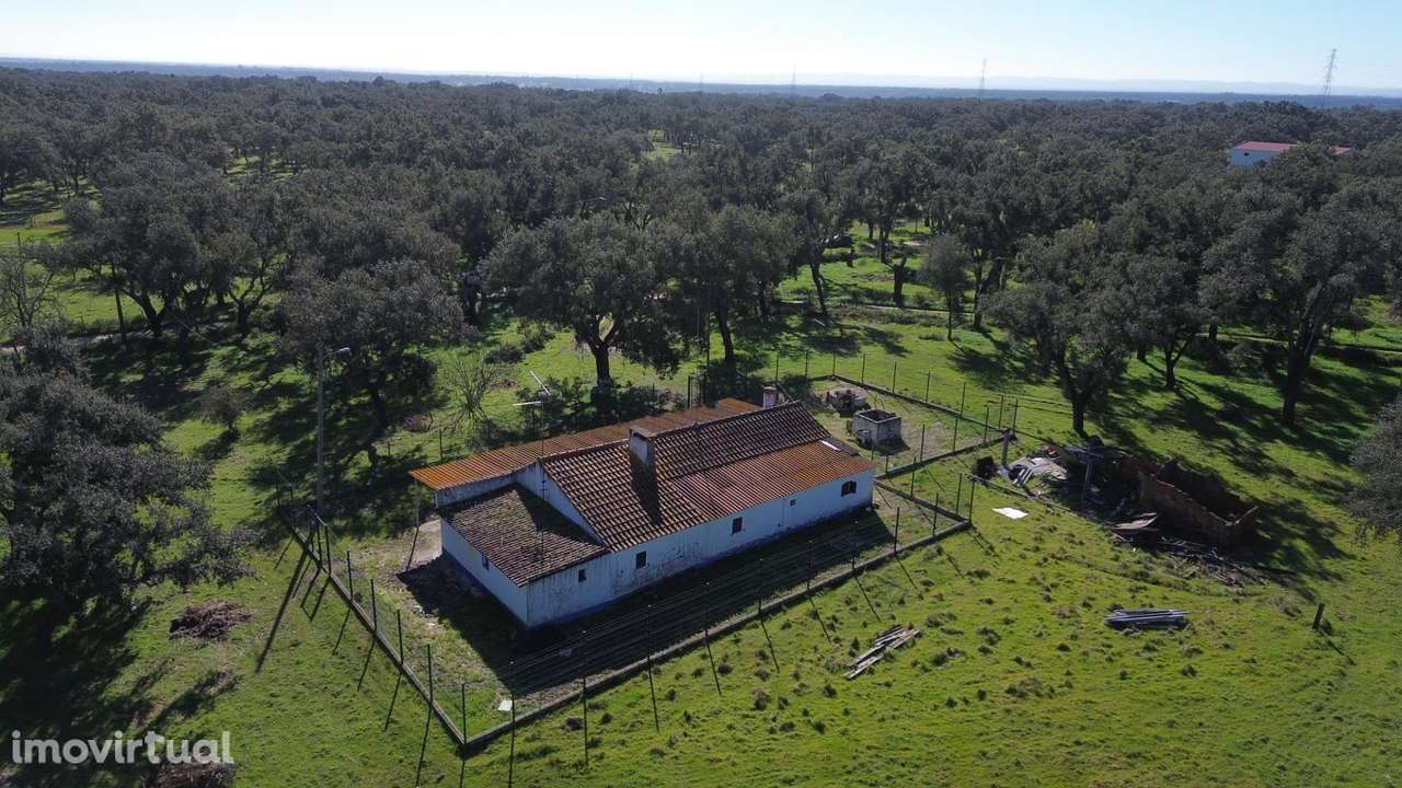 Refúgio Rural em Foros do Locário – 12,55 ha com Habitação e... - Grande imagem: 2/27
