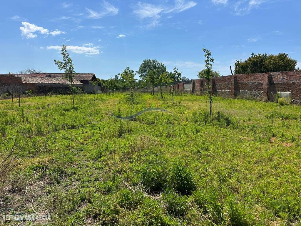 Terreno - Granja, Monte Real - Grande imagem: 2/15