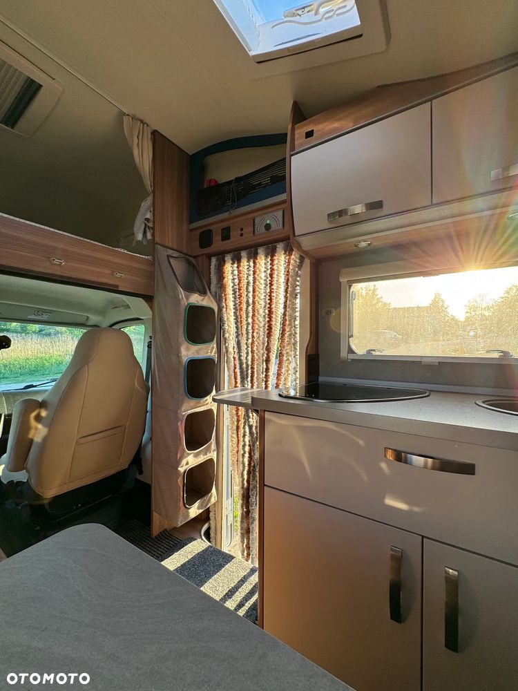 Fiat Kamper Alkowa  6 osobowy Fiat Ducato Weinsberg Cara Home 2018 - 19