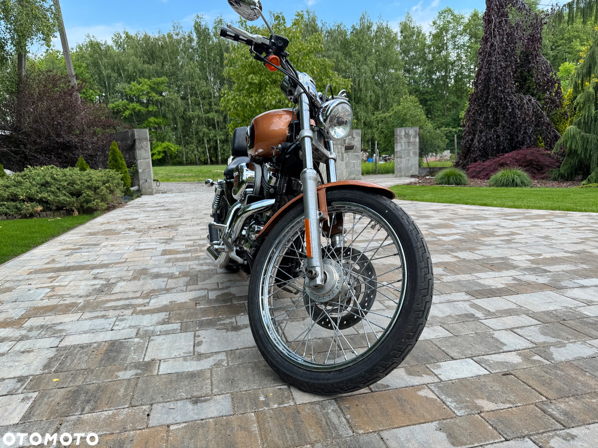 Harley-Davidson Sportster Custom 1200C - 5