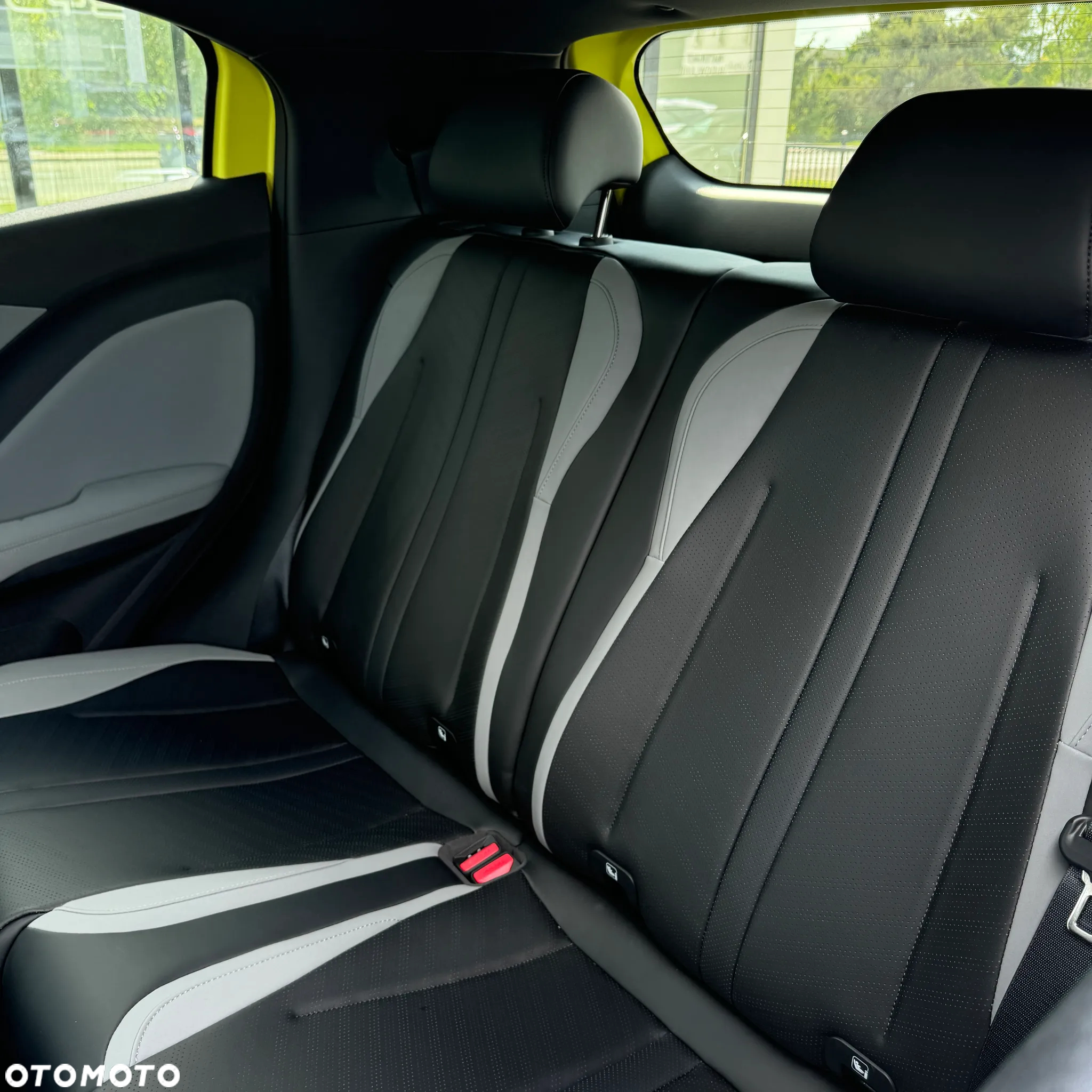 BYD Dolphin Surf - 18