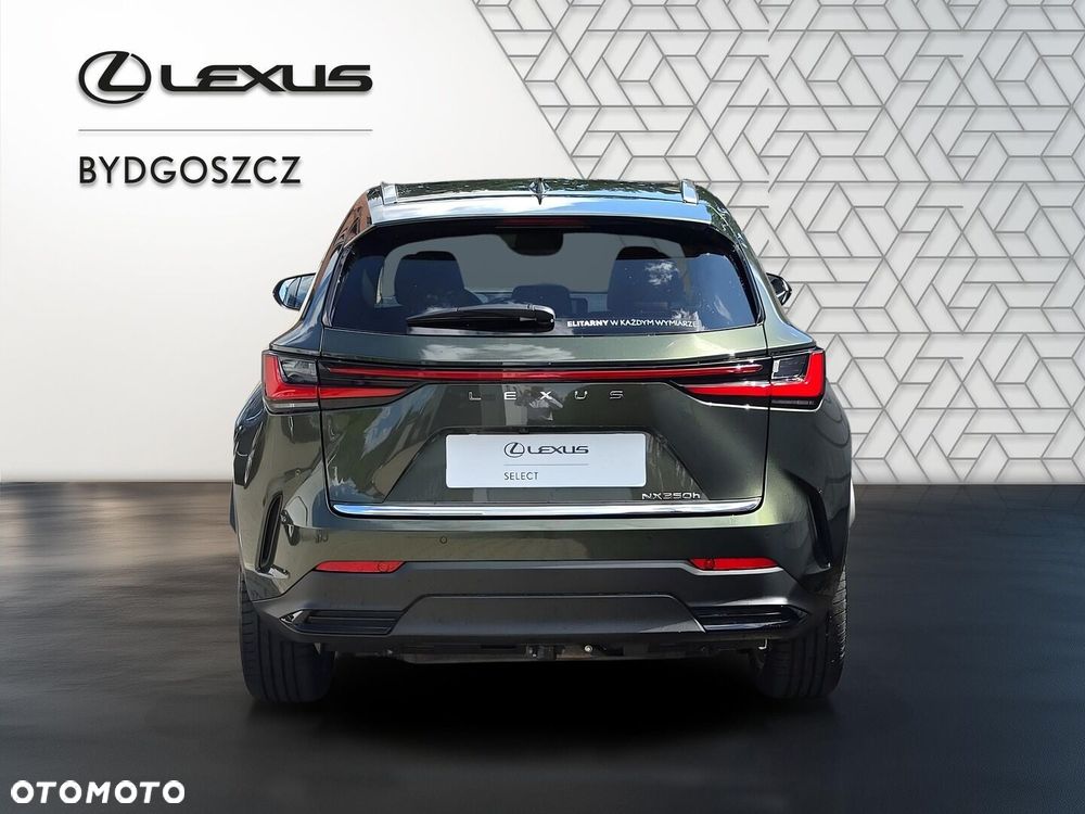 Lexus NX 350h Prestige AWD - 5