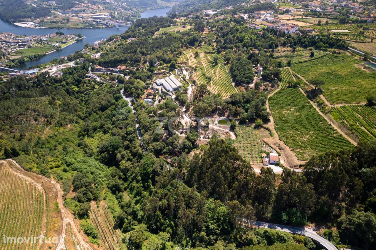 Quinta para Desenvolvimento Turístico no Norte de Portugal - Grande imagem: 2/14