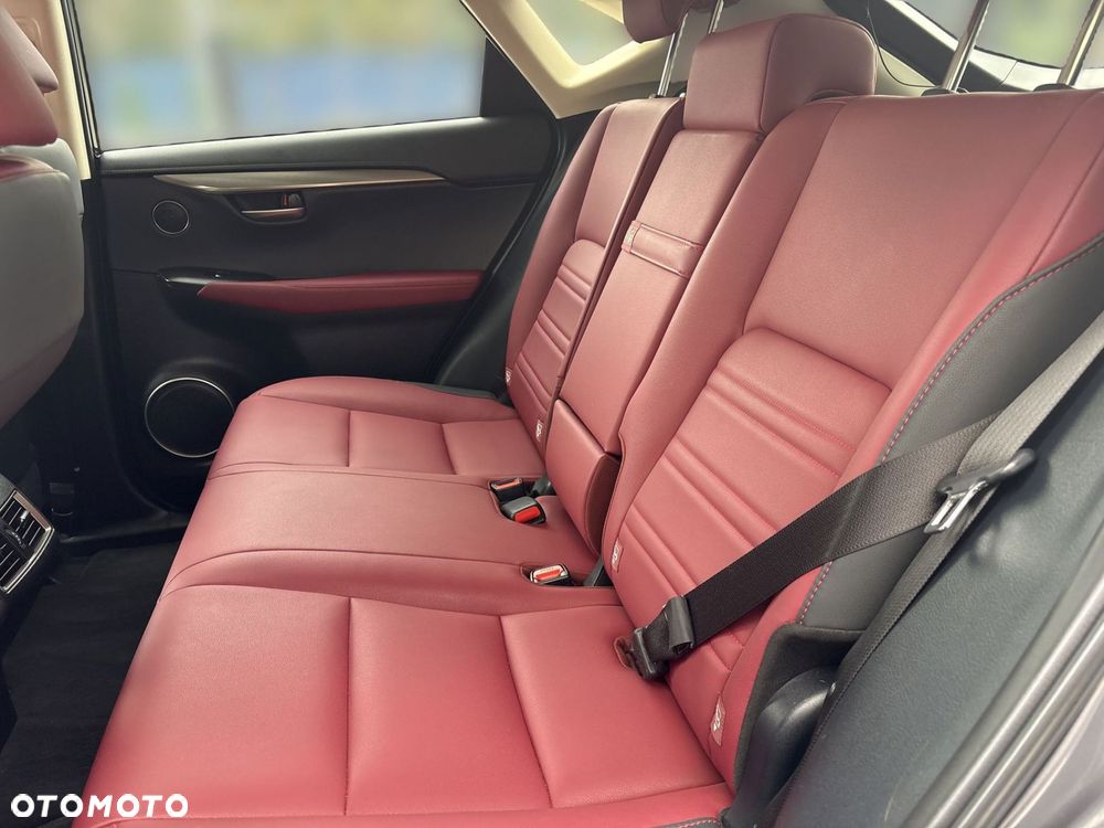 Lexus NX 300h F Impression AWD - 16