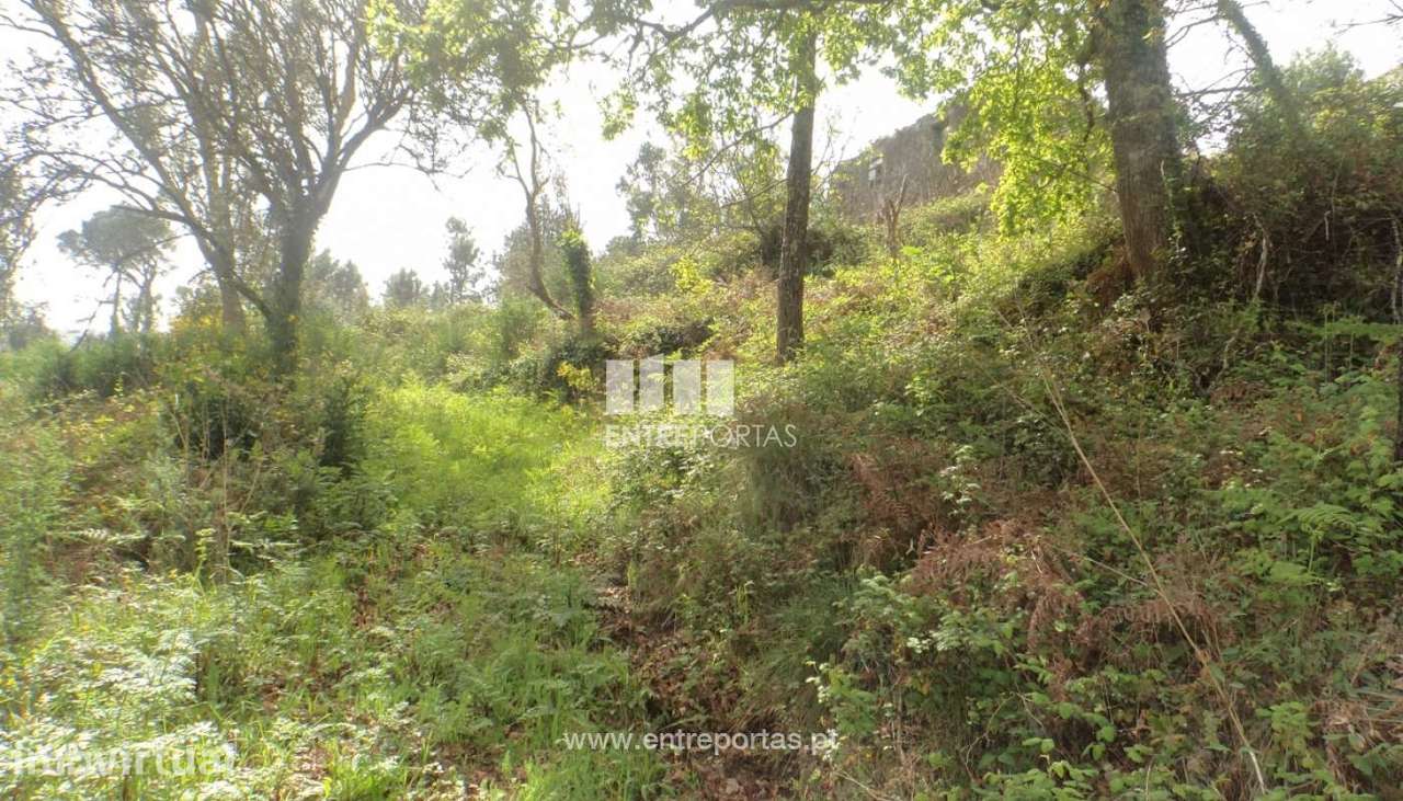 Ruína com terreno para venda, Azevedo, Caminha - Grande imagem: 4/9