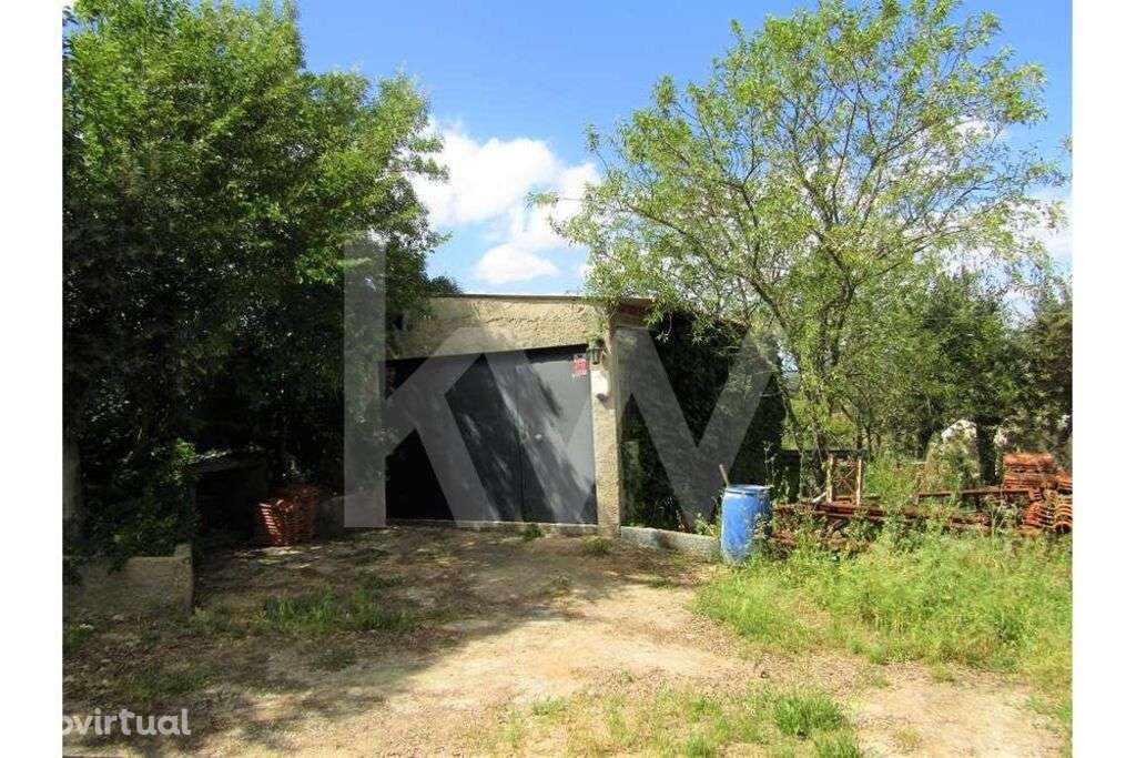 Venda Terreno de 11250m2 , Nisa - Grande imagem: 5/38