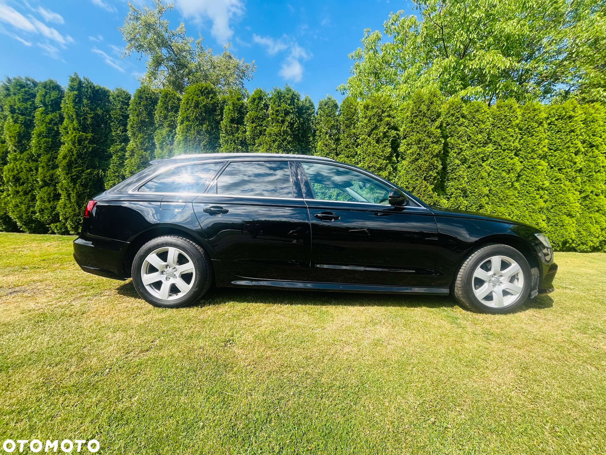 Audi A6 2.0 TDI ultra - 2