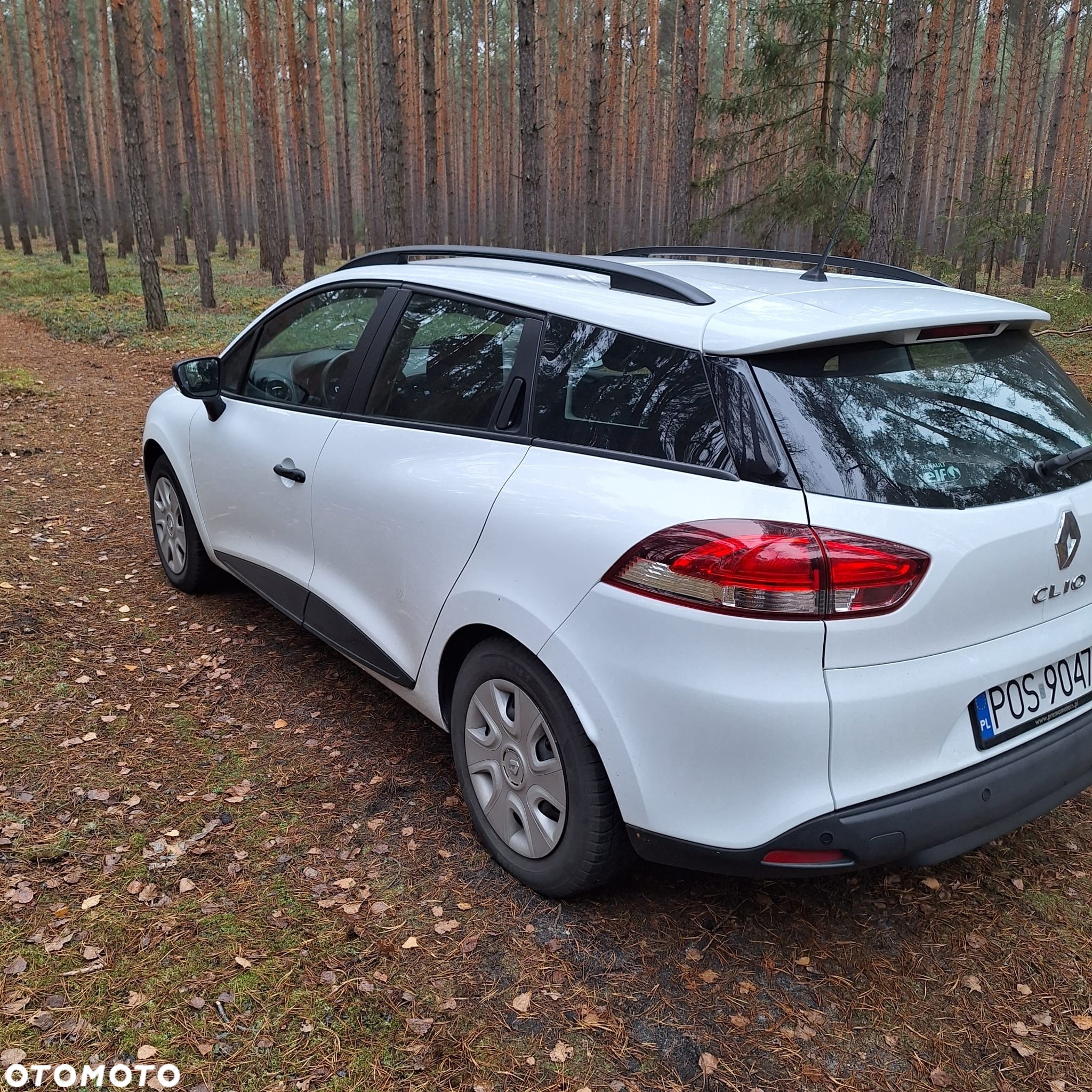 Renault Clio - 6
