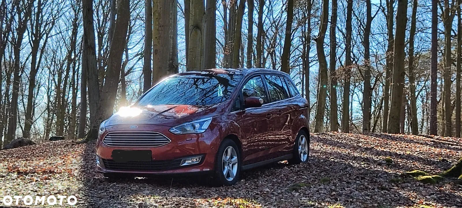 Ford Grand C-MAX 1.5 EcoBoost Start-Stopp-System Titanium - 8