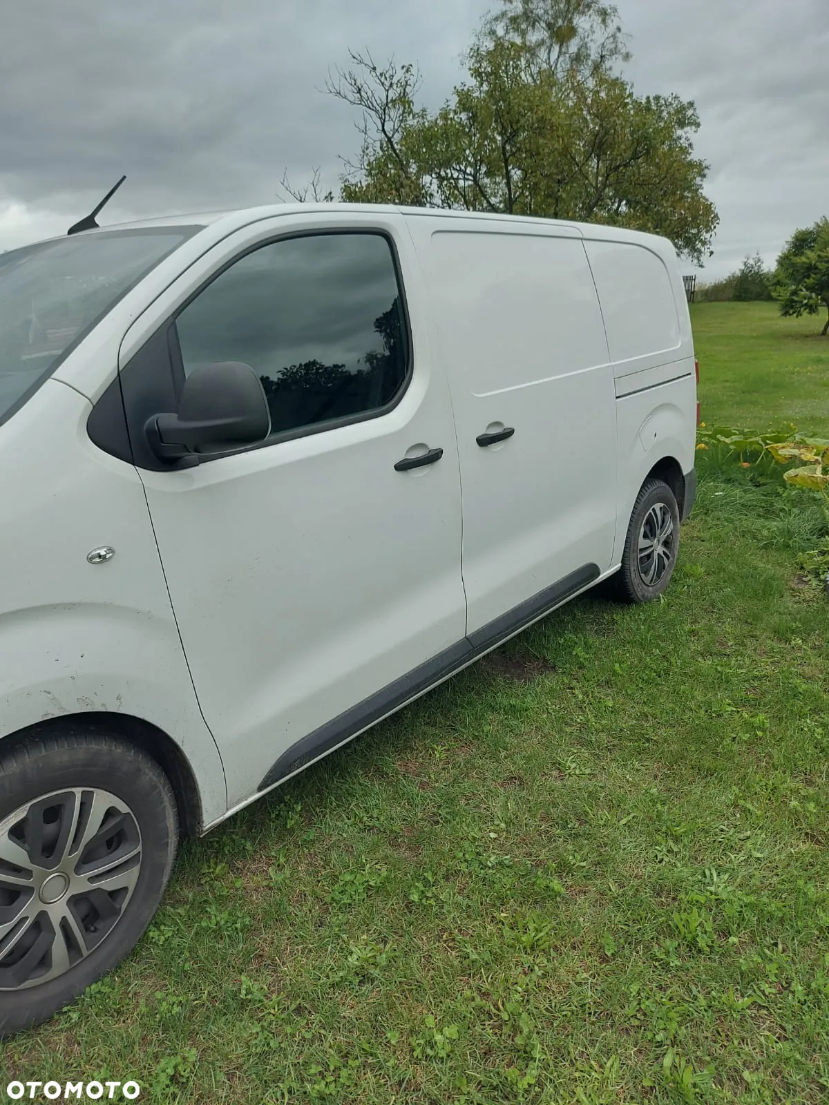 Peugeot Expert 2.0 BlueHDi Standard 2,8t (bryg.) - 3