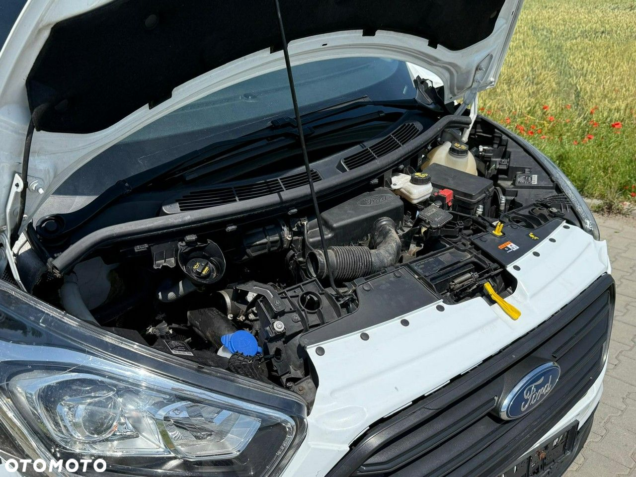 Ford Transit Custom - 7