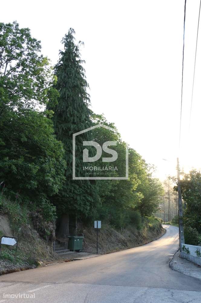 Terreno Rústico  Venda em Avões,Lamego - Grande imagem: 5/6
