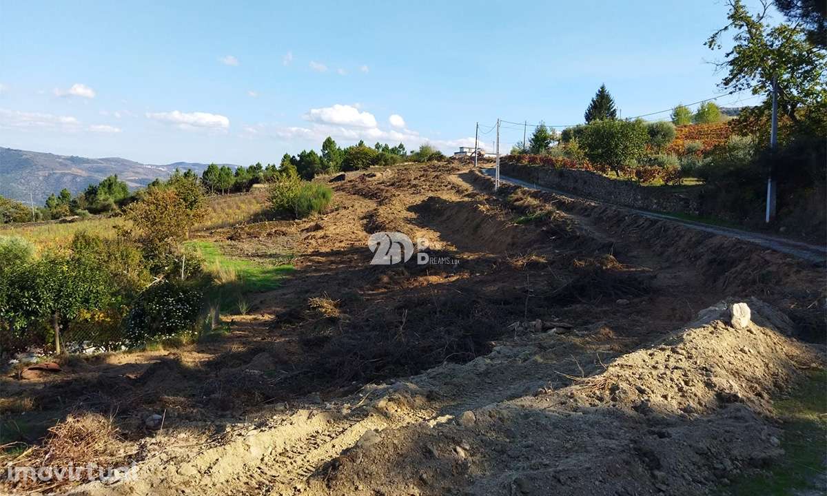 Terreno 5979m² - Tabuaço - Grande imagem: 2/5