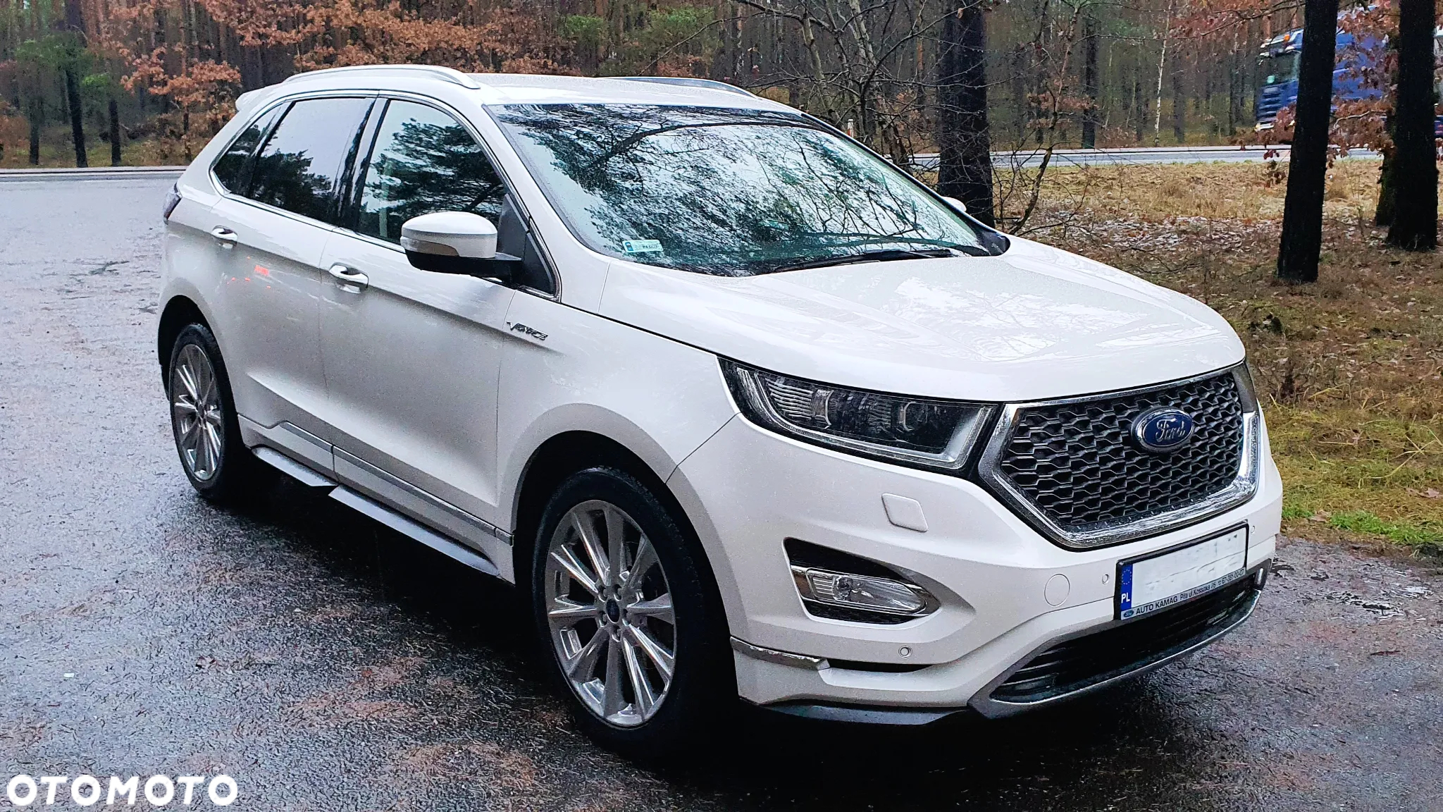 Ford Edge Vignale 2.0 TDCi Twin-Turbo 4WD - 2