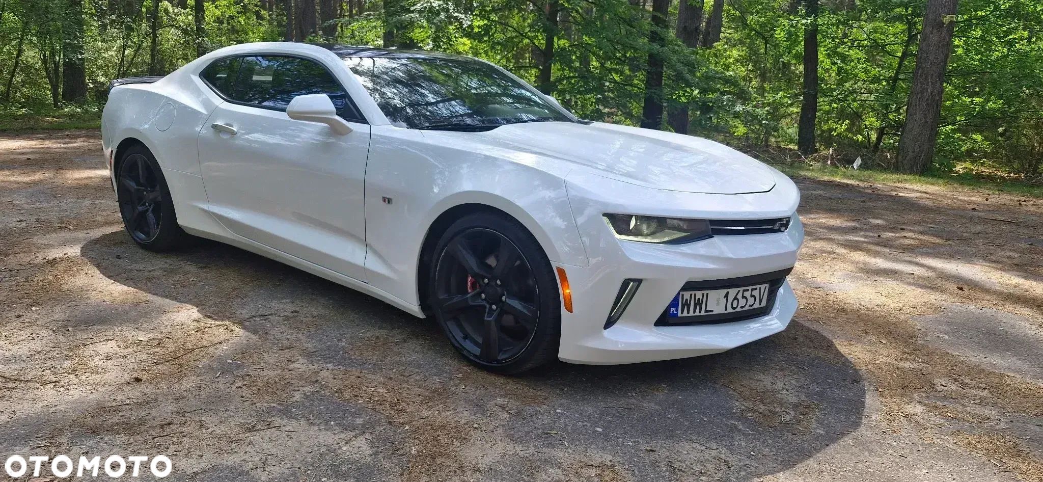 Chevrolet Camaro 3.6 V6 Coupe 2LT - 1