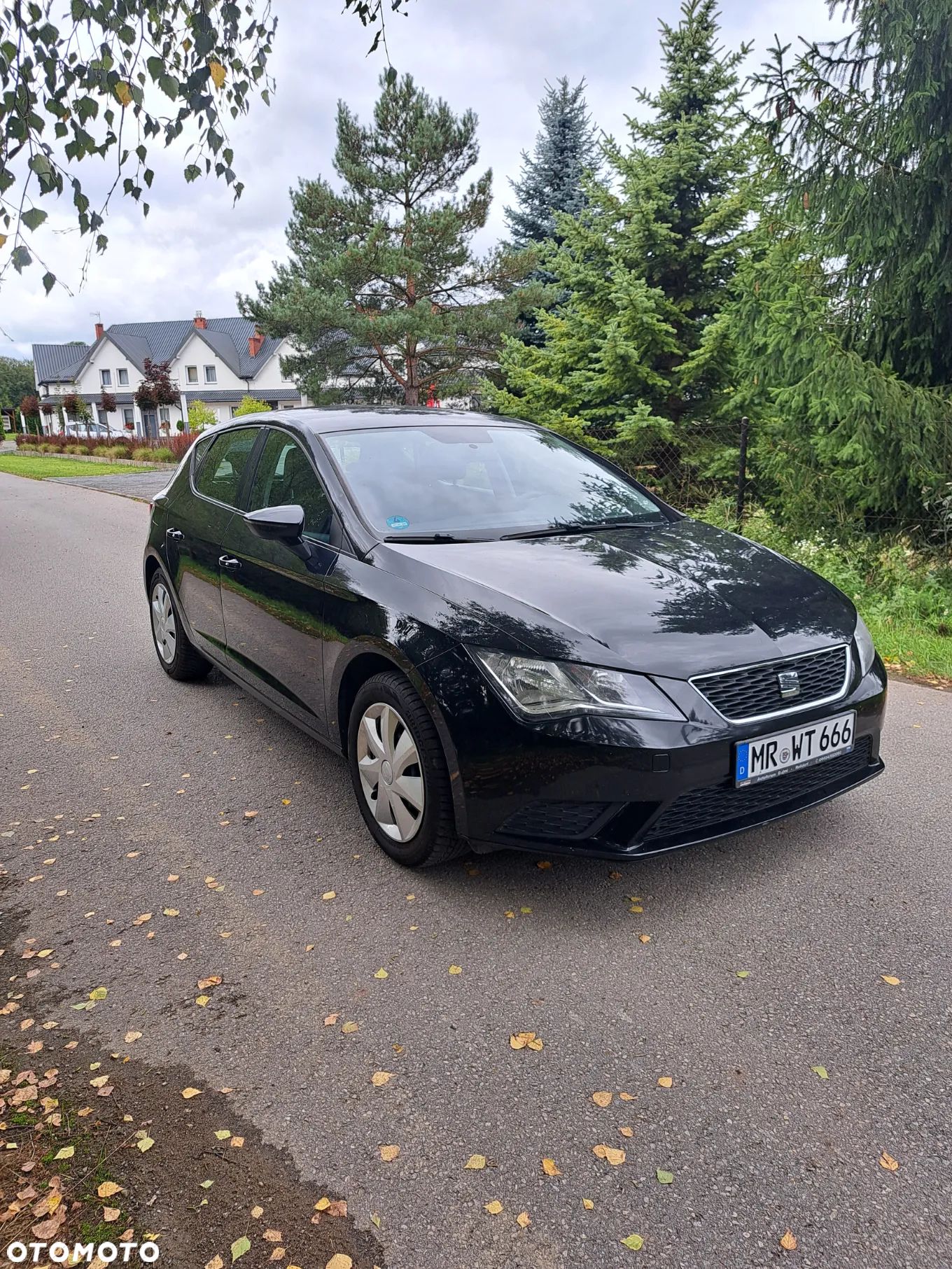 Seat Leon - 1
